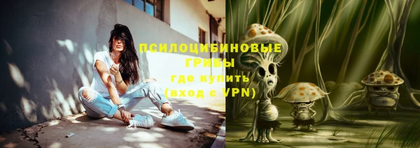 шишки Нягань