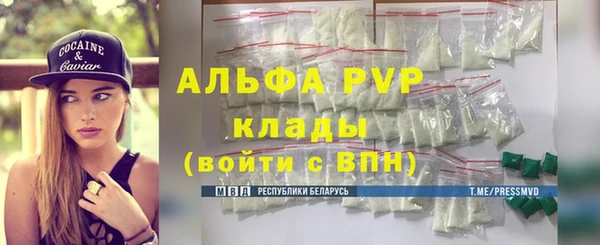 гашик Няндома