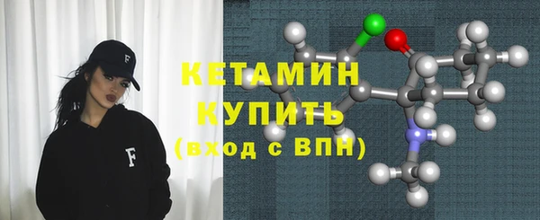 гашик Няндома
