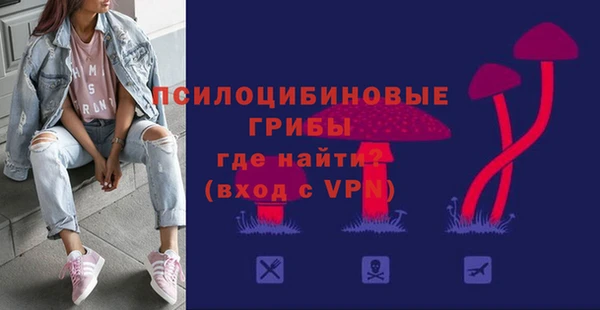 гашик Няндома