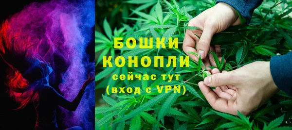 шишки Нягань