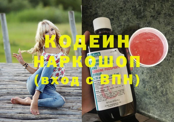 гашик Няндома