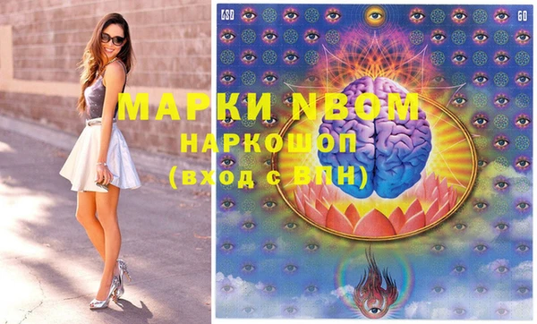 гашик Няндома