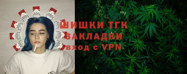 тгк Инта