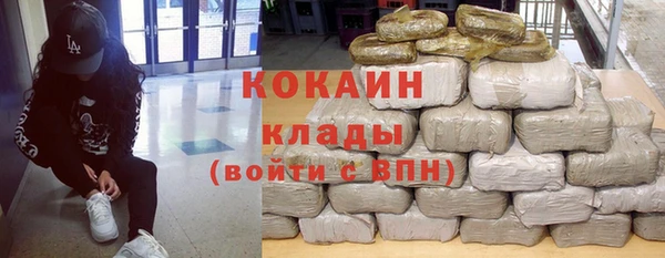 шишки Нягань