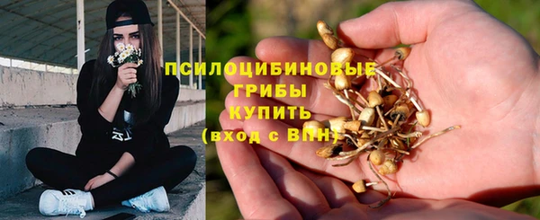 гашик Няндома